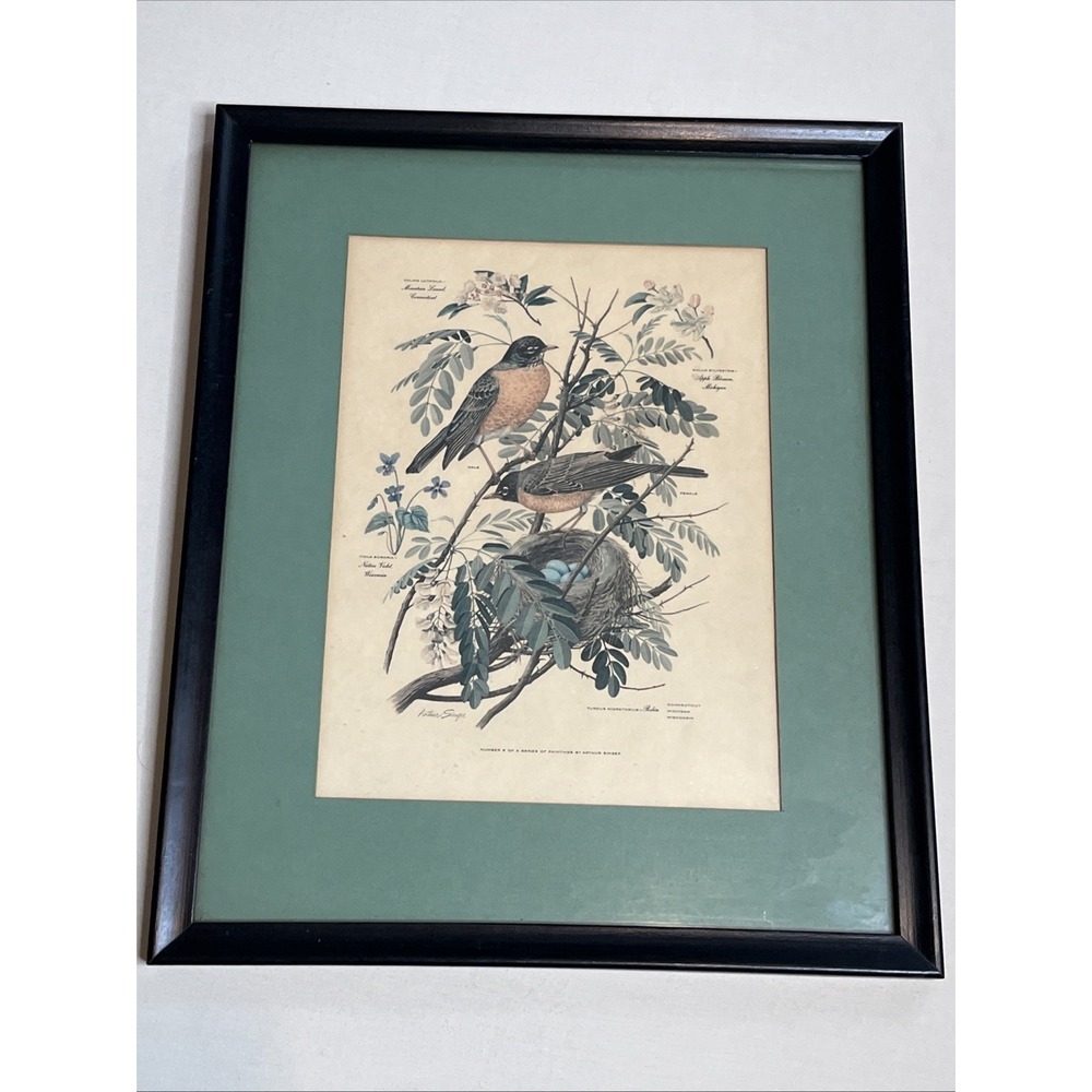 Vintage Arthur Singer Robins Print #5 in the Series Robin Framed Matted